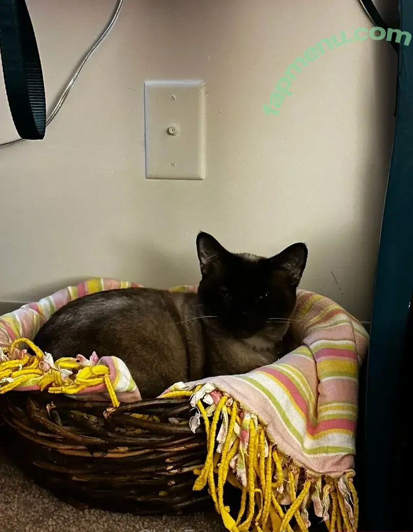 itsonlykarma nude photo #0034 (karma_est2024)