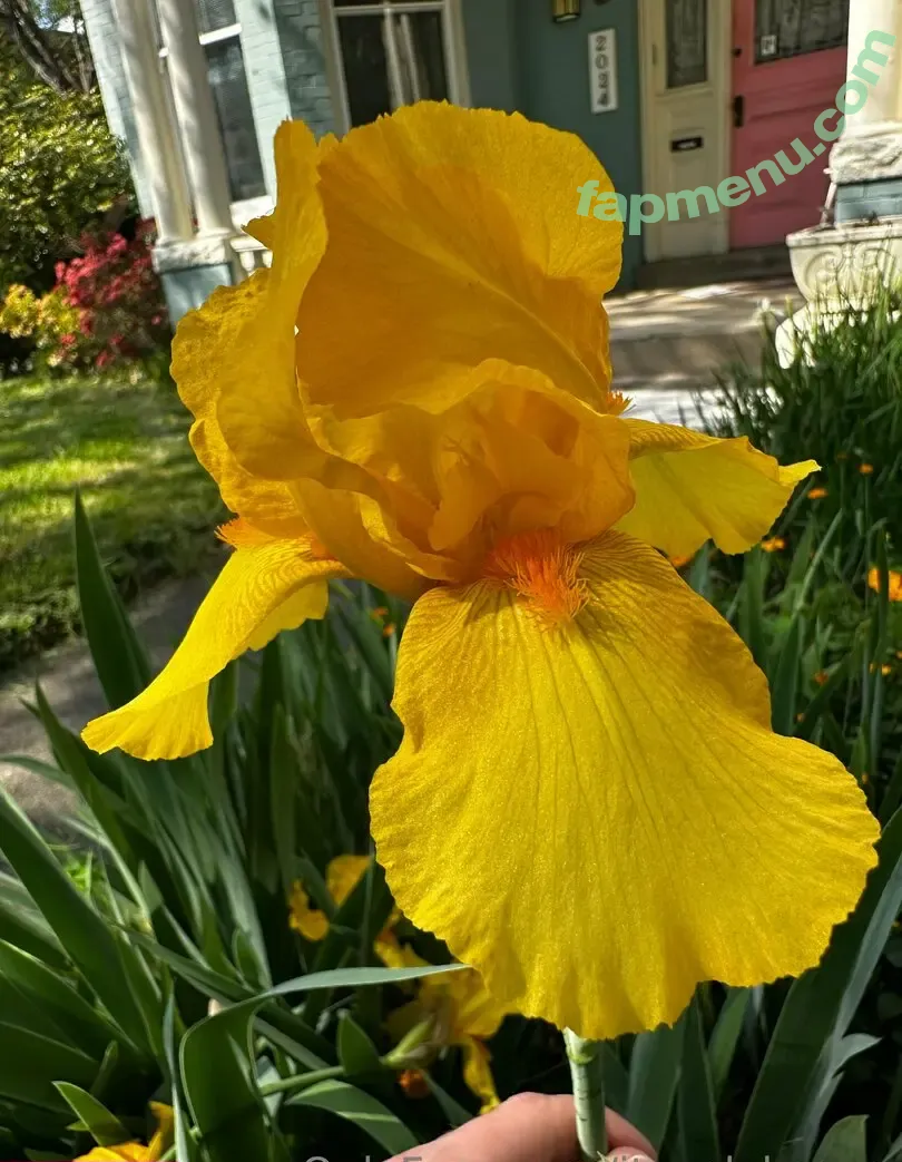 itsonlykarma nude photo #0040 (karma_est2024)