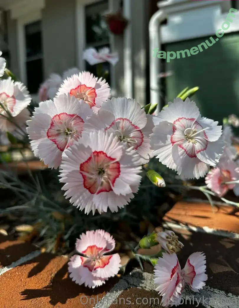 itsonlykarma nude photo #0041 (karma_est2024)