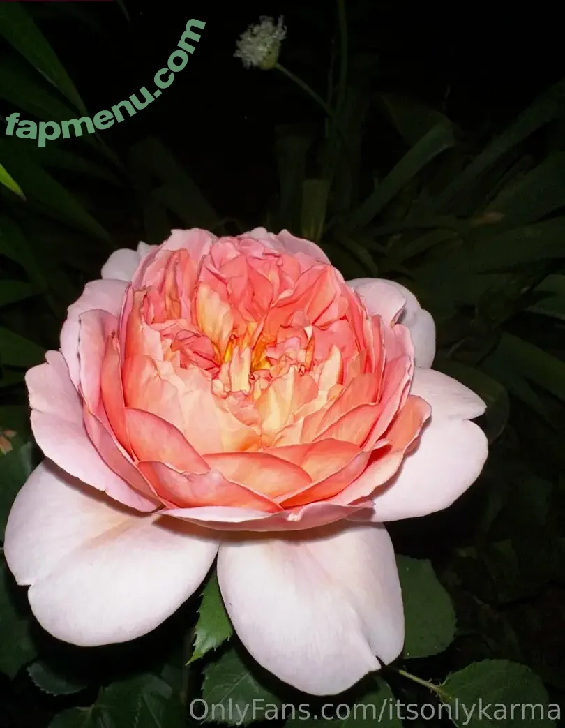 itsonlykarma nude photo #0042 (karma_est2024)