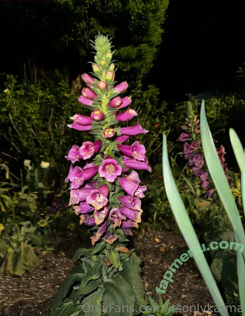 itsonlykarma nude photo #0043 (karma_est2024)