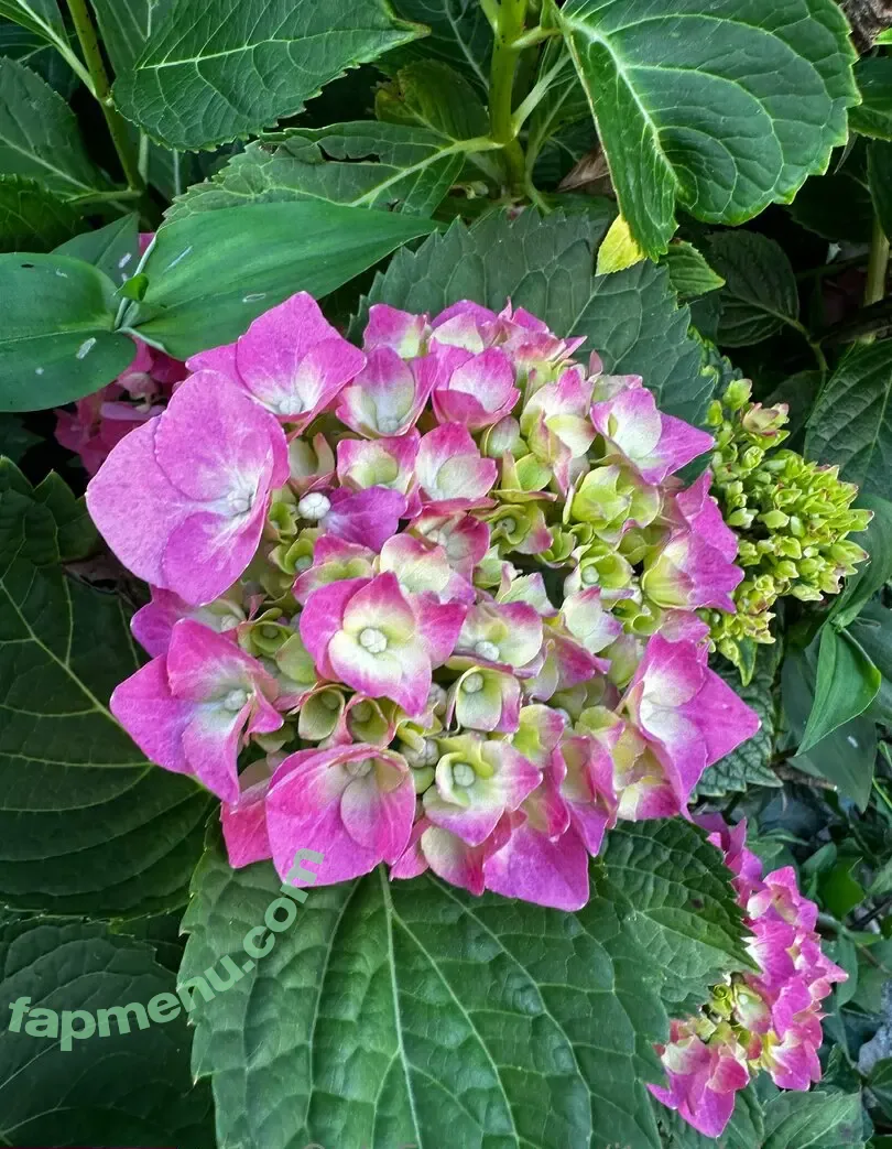 itsonlykarma nude photo #0046 (karma_est2024)