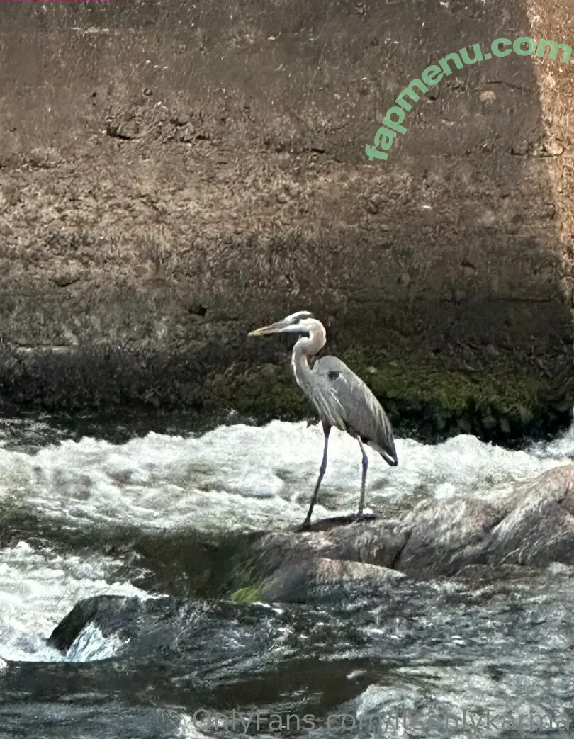 itsonlykarma nude photo #0047 (karma_est2024)