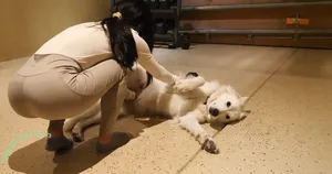 itssoukai / Kai / sou_kaii / soukai nude photo #0005