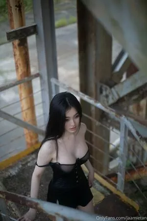 Jaamietan / Jamie Tan nude photo #0083