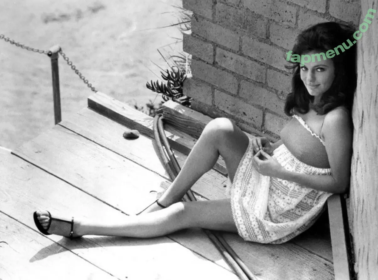 Jacqueline Bisset nude photo #0022 (jacquelinebissetofficial)