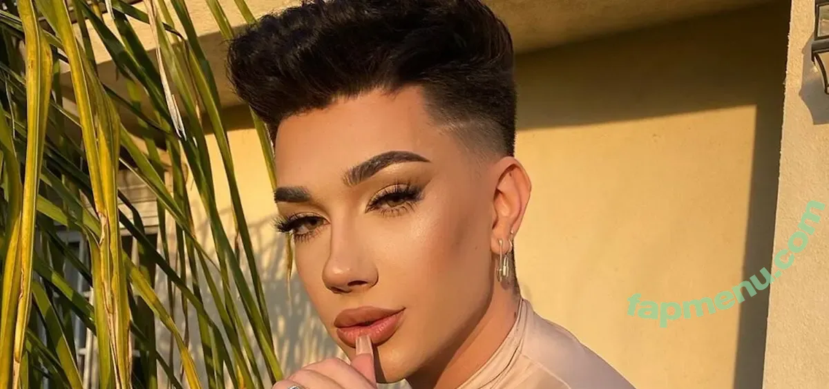 jamescharles nude photo #0024 (jamescharles)
