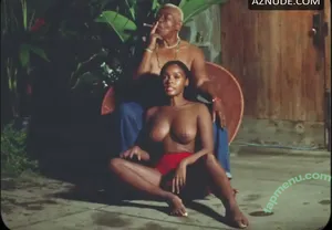 Janelle Monae / janellemonae nude photo #0522