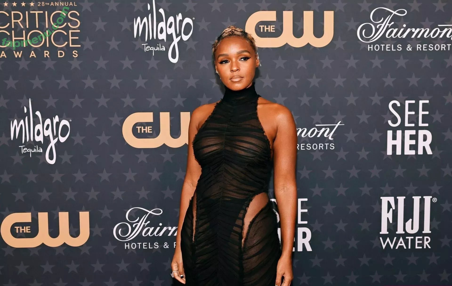 Janelle Monae nude photo #0034 (janellemonae)