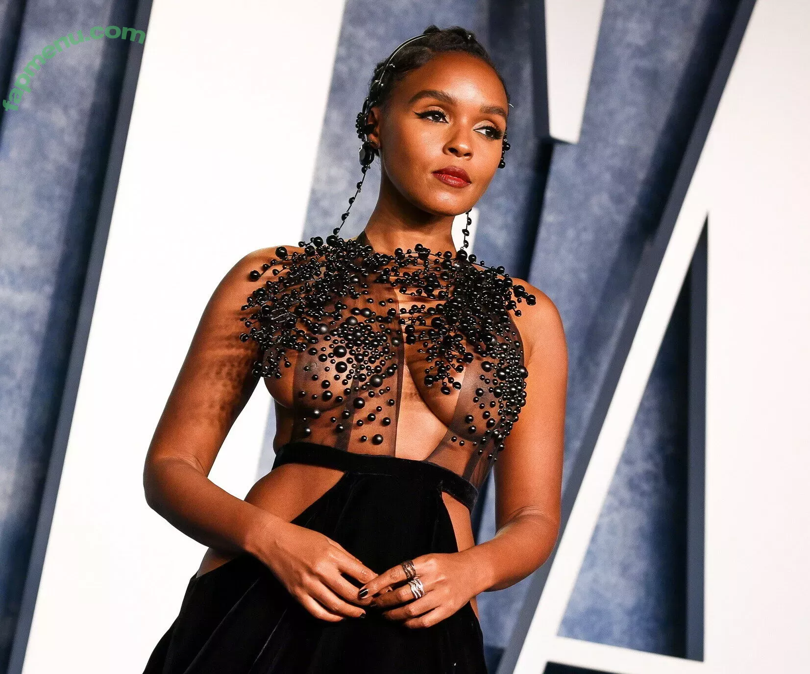 Janelle Monae nude photo #0059 (janellemonae)