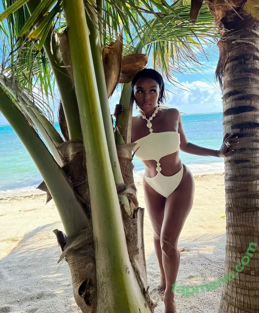 Janelle Monae nude photo #0227 (janellemonae)