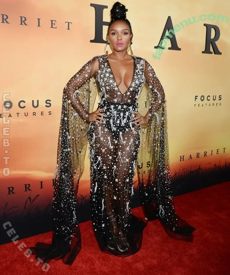 Janelle Monae nude photo #0541 (janellemonae)