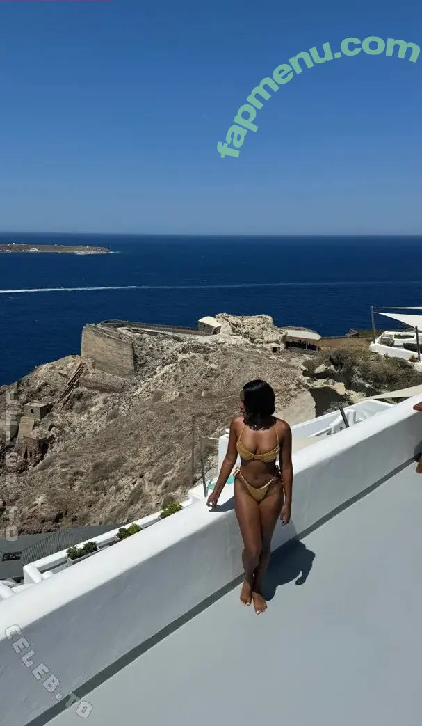 Janelle Monae nude photo #0543 (janellemonae)