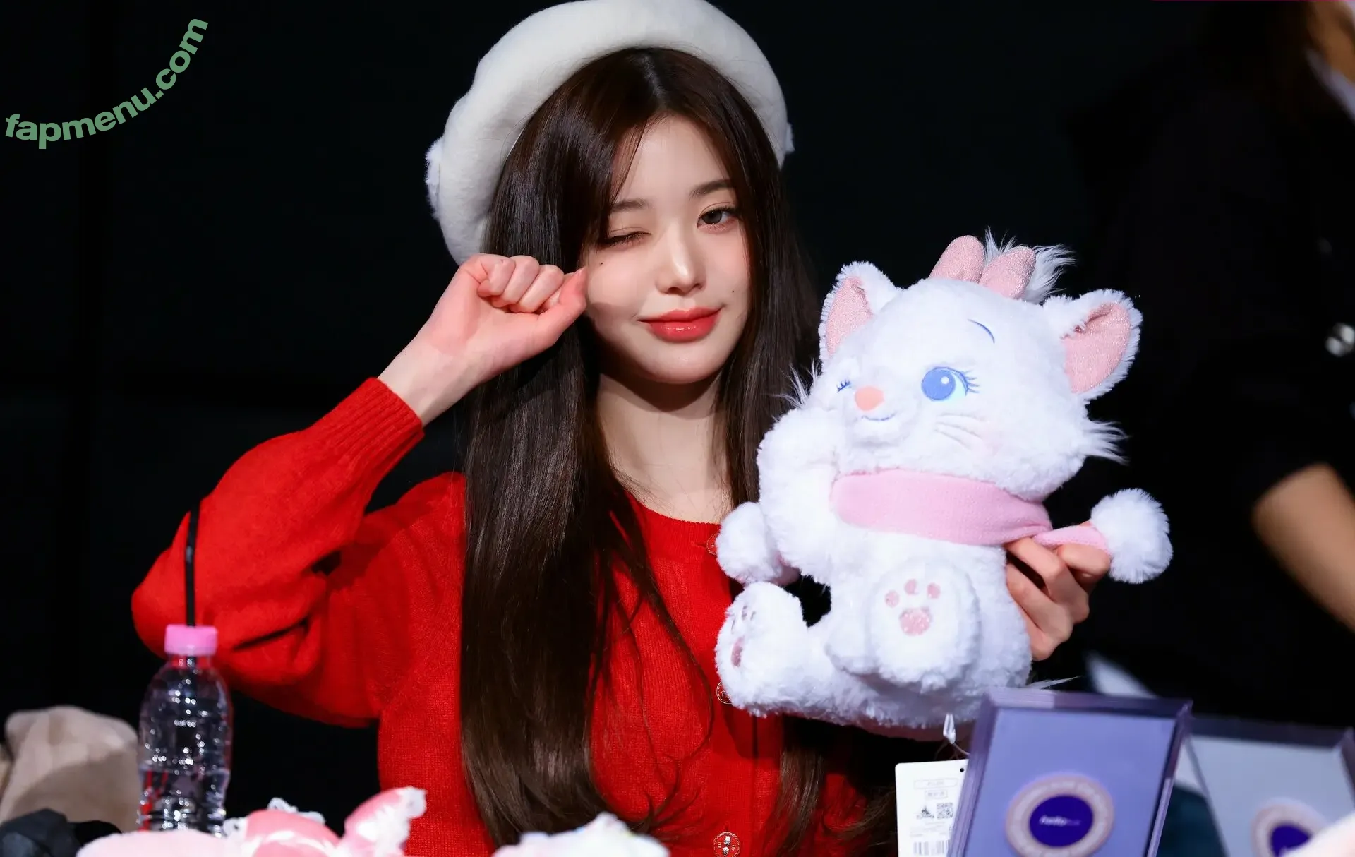 Jang Won-young nude photo #5242 (for_everyoung10 / 장원영 WONYOUNG)