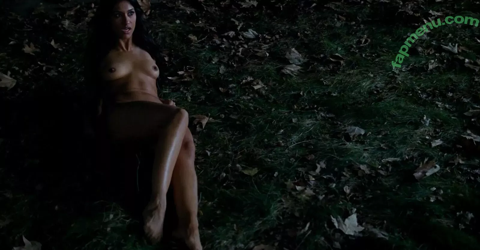 Janina Gavankar nude photo #0171 (janina)