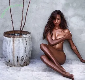 Jasmine Tookes / jastookes nude photo #0370