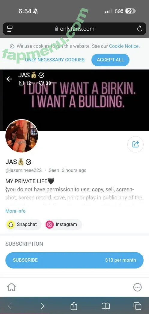 Jassmineee222 nude photo #0001 (Jassmineee222)