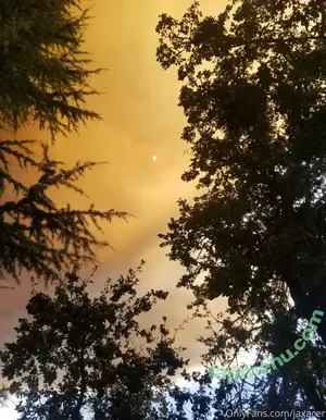 jaxacer / jax.acer nude photo #0012