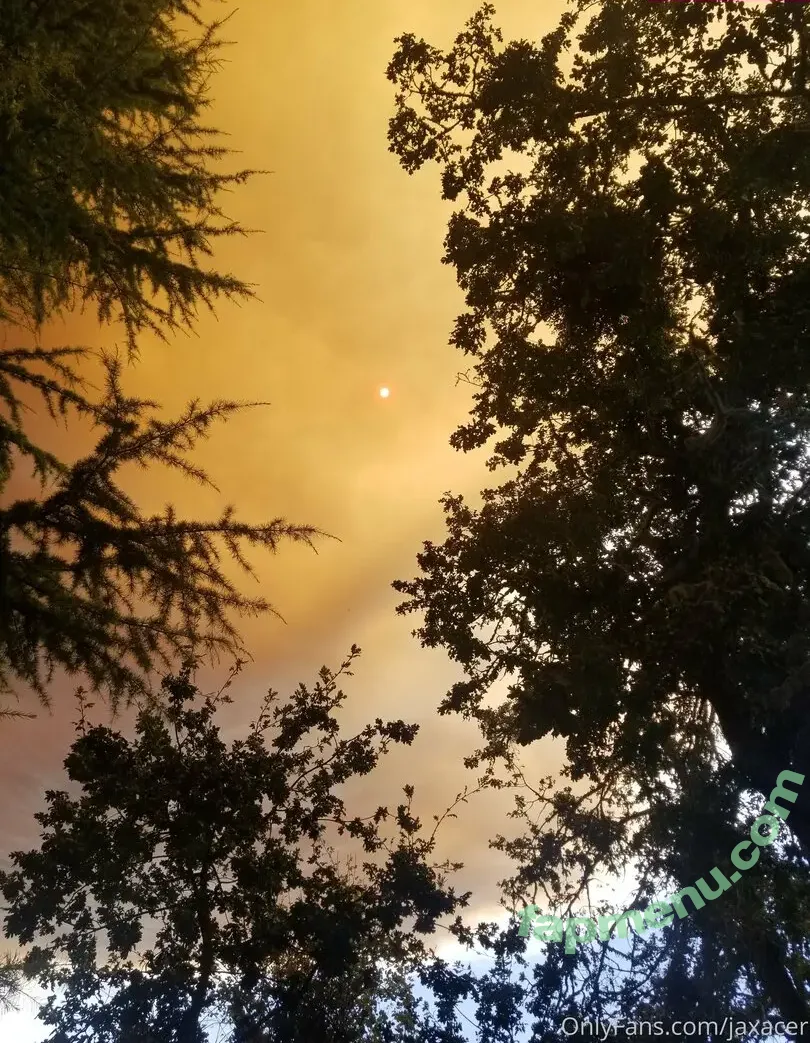 jaxacer nude photo #0012 (jax.acer)