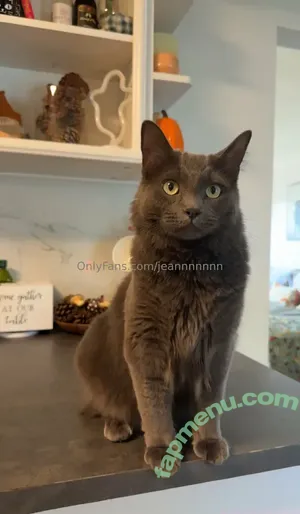 jeannnnnnn / jeannnnn.n nude photo #0458