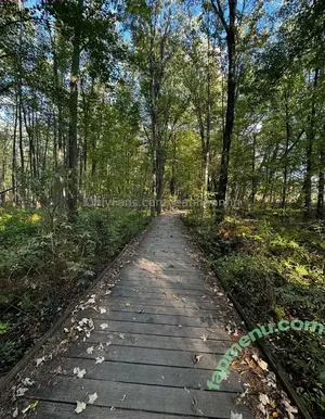 jeannnnnnn / jeannnnn.n nude photo #0538