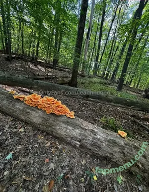 jeannnnnnn / jeannnnn.n nude photo #0539