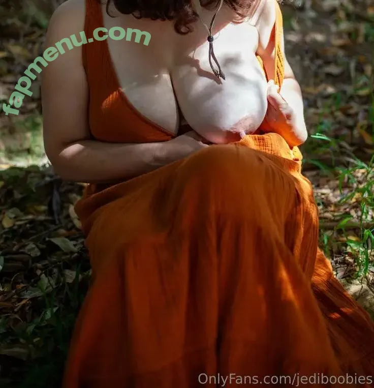 Jedi Boobies nude photo #0002 (jediboobies)