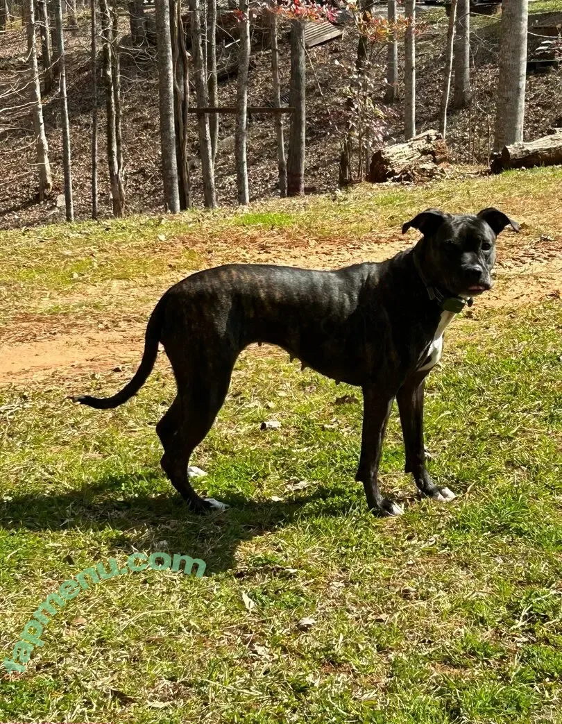 jegga13 nude photo #0003 (jegga13)