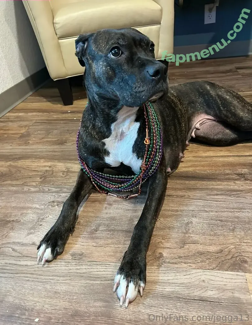 jegga13 nude photo #0012 (jegga13)