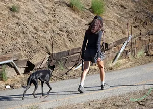 Jenna Ortega / Page / jennaortega / ortega00 nude photo #1297