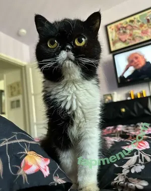 Jenna Valentine / jenna_valentine / jennavalentine nude photo #0060