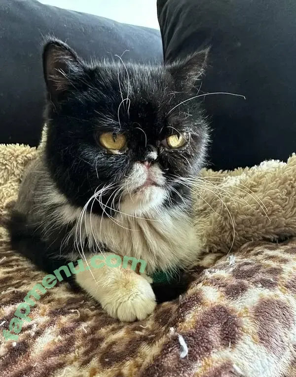 Jenna Valentine nude photo #0059 (jenna_valentine / jennavalentine)