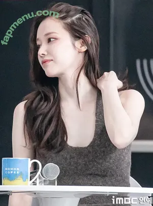 Jeon Jong-seo / wjswhdtj94 nude photo #0079