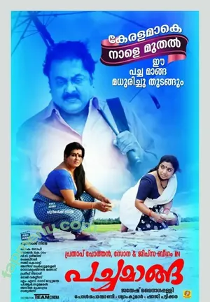 Jipsa Beegam / jipsabeegamsadaf nude photo #0013