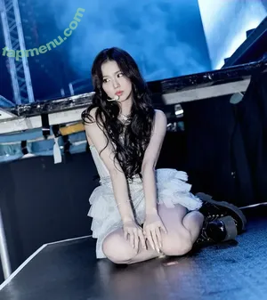 Jisoo / BLACKPINK / qenshizu / sooyaaa__ nude photo #1280
