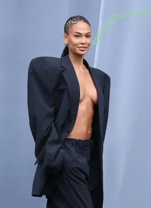 Joan Smalls / joansmalls nude photo #0008