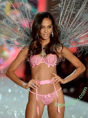 Joan Smalls / joansmalls / therealjoansmalls nude photo #0280