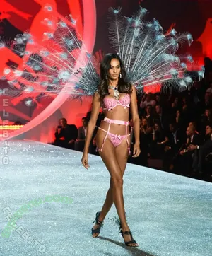 Joan Smalls / joansmalls / therealjoansmalls nude photo #0288