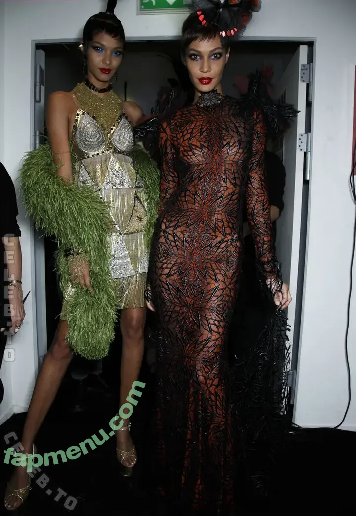 Joan Smalls nude photo #0242 (joansmalls / therealjoansmalls)