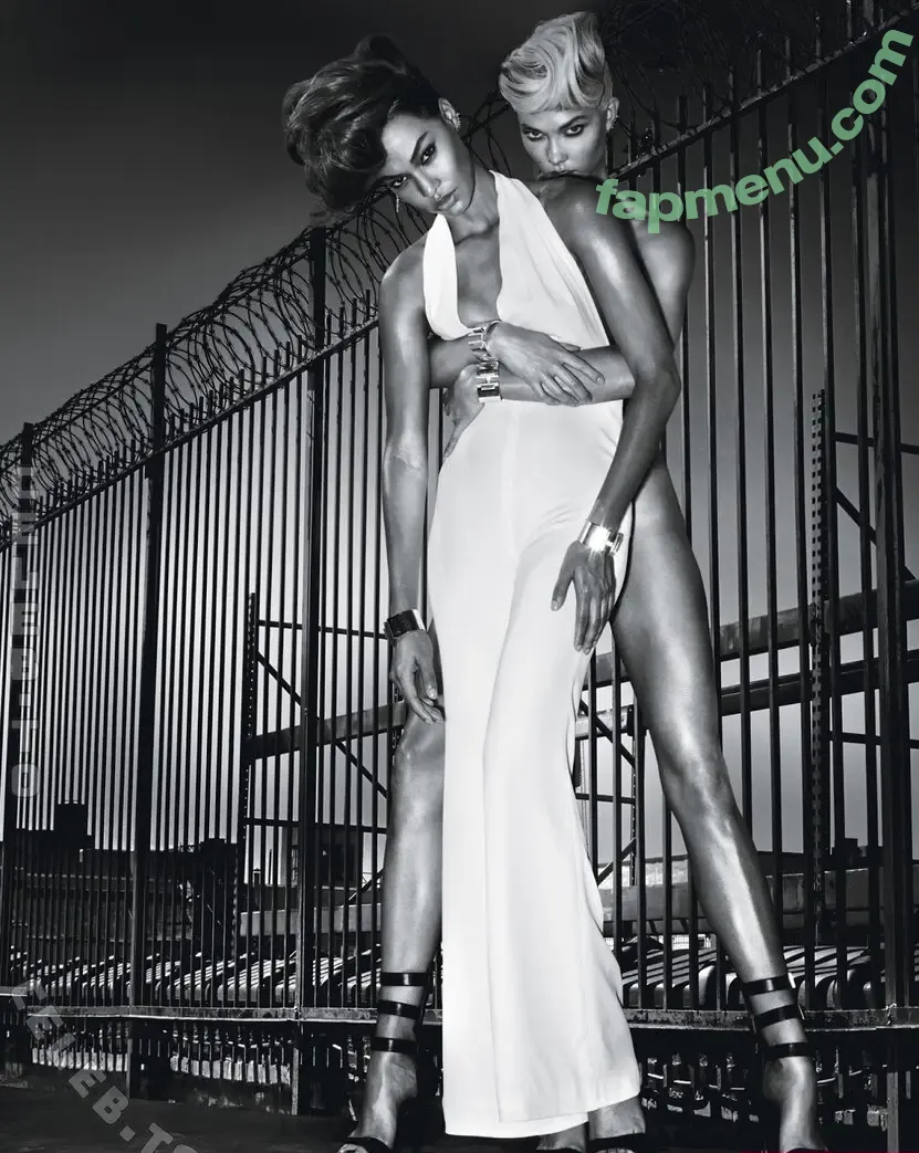 Joan Smalls nude photo #0270 (joansmalls / therealjoansmalls)