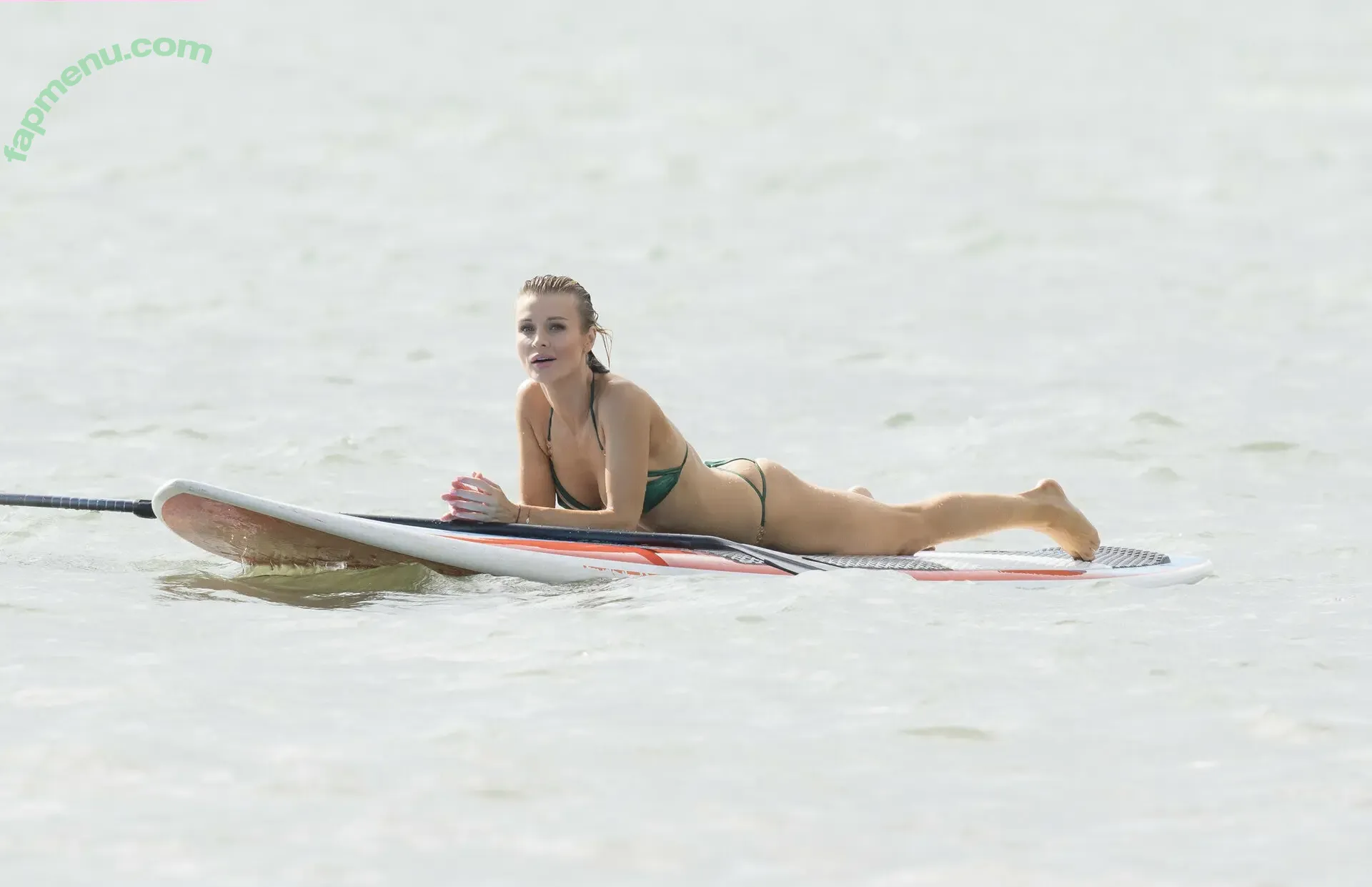 Joanna Krupa nude photo #0975 (joannakrupa)