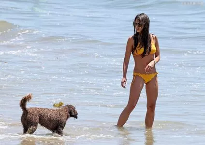 Jordana Brewster / JordanaBrewster nude photo #0459