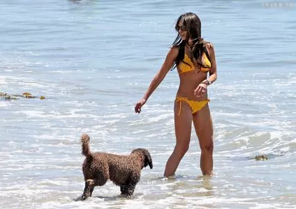 Jordana Brewster / JordanaBrewster nude photo #0463