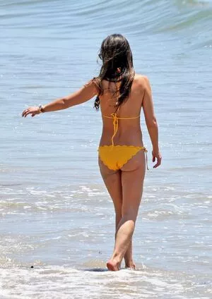 Jordana Brewster / JordanaBrewster nude photo #0468