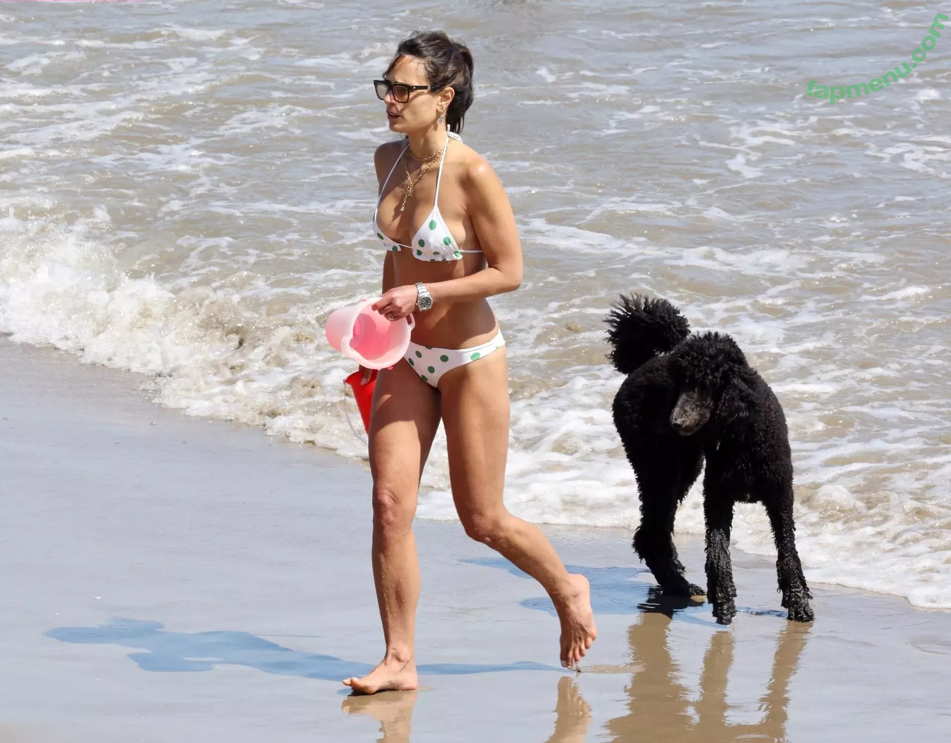 Jordana Brewster nude photo #0127 (JordanaBrewster)
