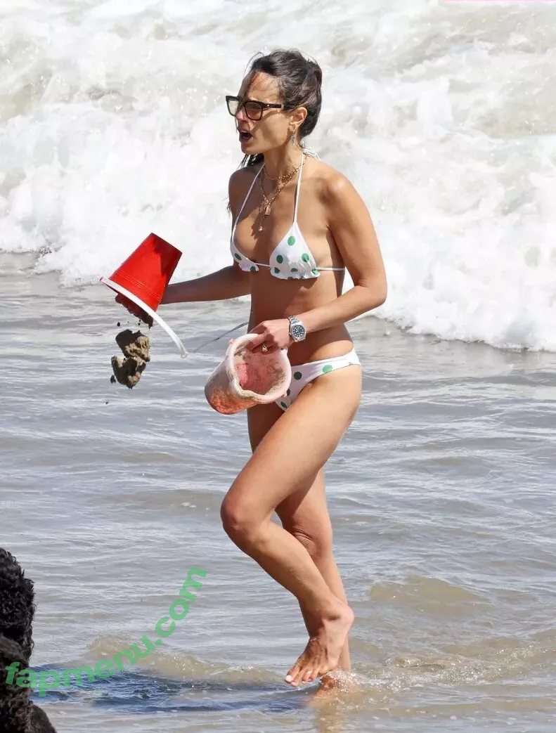 Jordana Brewster nude photo #0141 (JordanaBrewster)