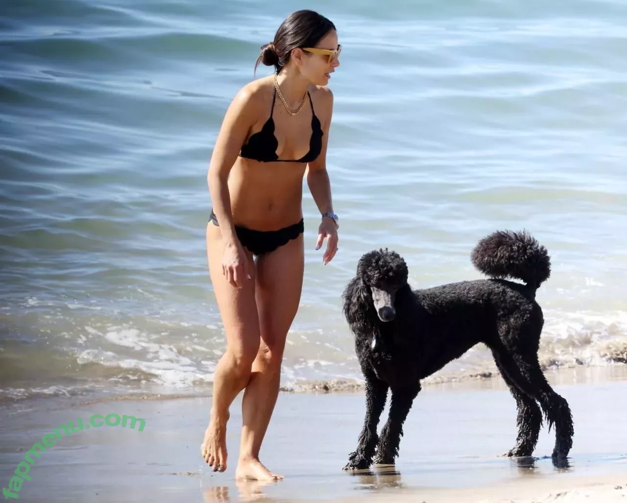 Jordana Brewster nude photo #0542 (JordanaBrewster)