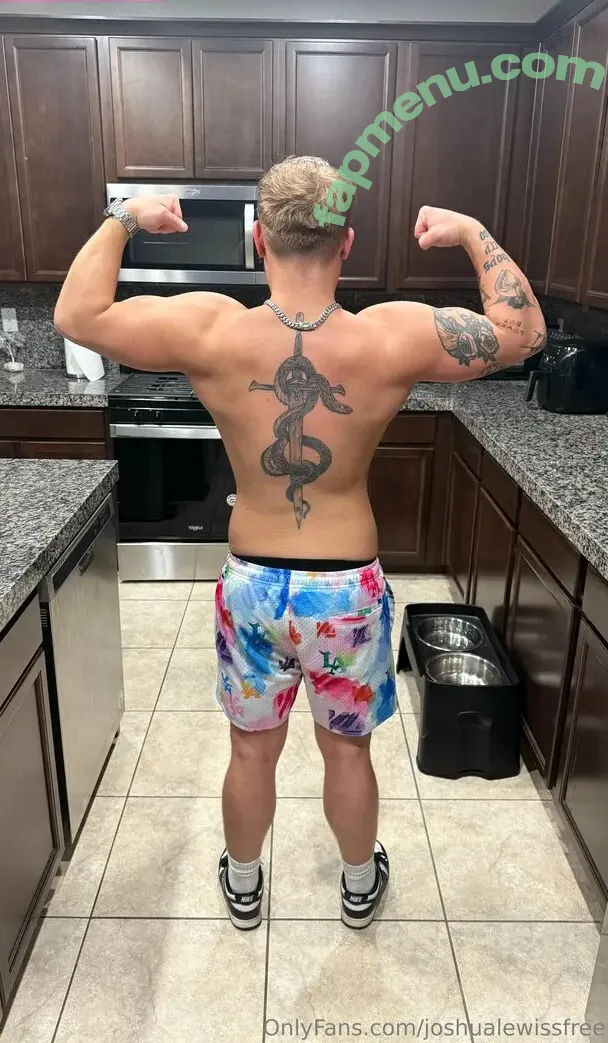 joshualewissfree nude photo #0087 (joshualewis)