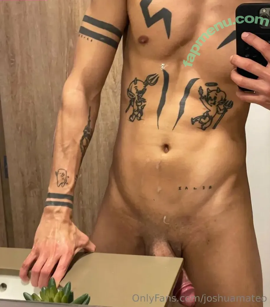 joshuamateo nude photo #0011 (joshuamateox)