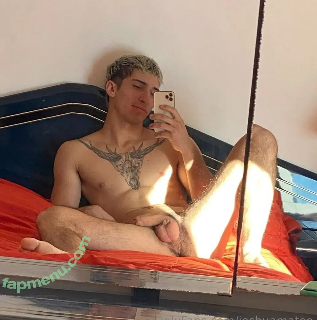 joshuamateo nude photo #0136 (joshuamateox)